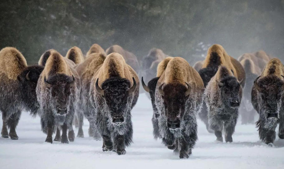 深圳零零柒壹壹安防科技公司轮播图1